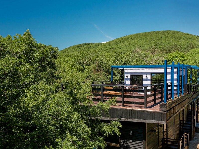 "Petra Garden" отель в Бетте "Petra Garden" отель в Бетте