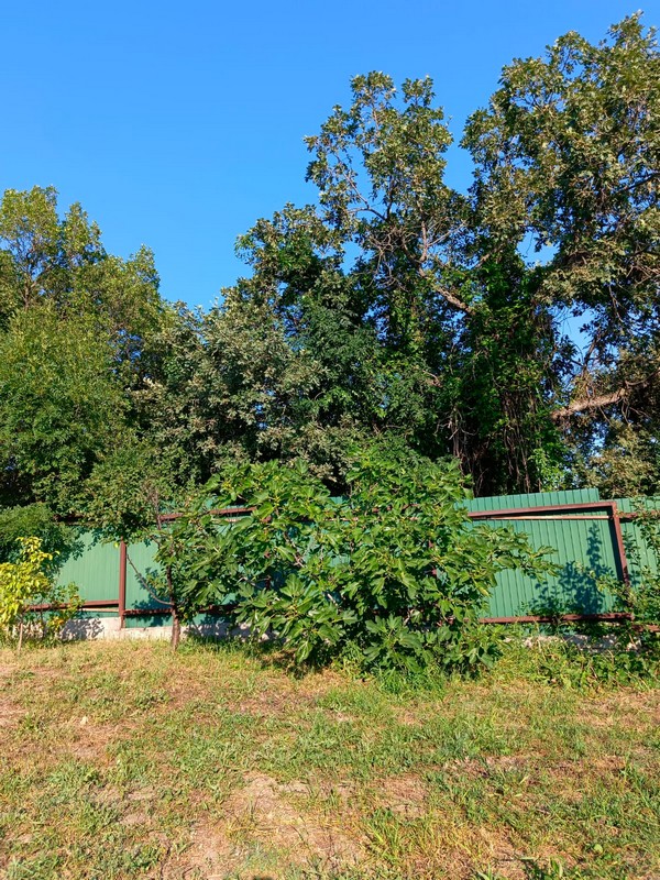 Дом под-ключ Кедровая 38 в Геленджике Дом под-ключ Кедровая 38 в Геленджике