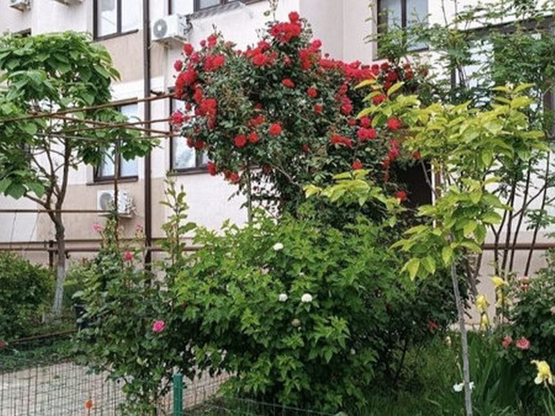 2х-комнатная квартира Летний 1 корп 1 в Дивноморском 2х-комнатная квартира Летний 1 корп 1 в Дивноморском