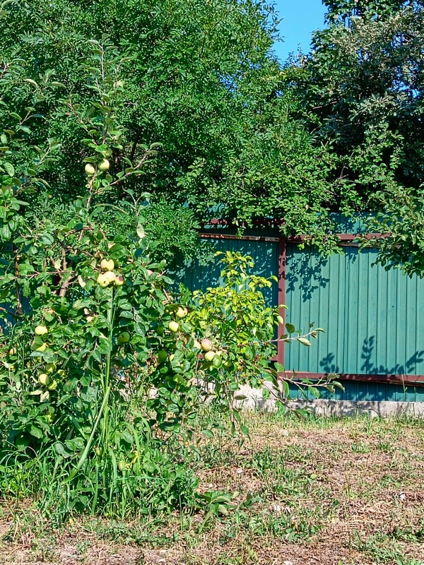 Дом под-ключ Кедровая 38 в Геленджике Дом под-ключ Кедровая 38 в Геленджике