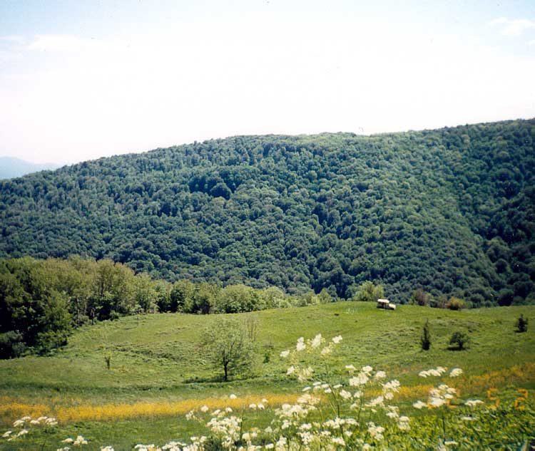 Адербиевка Адербиевка